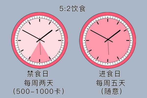 间歇性禁食减脂图