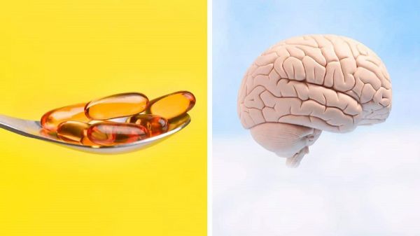 vitaminas para el cansancio y el cerebro