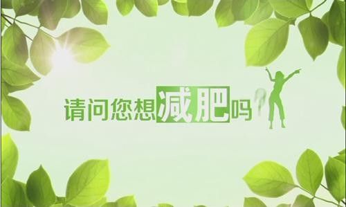 我的瘦身日记