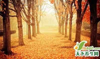 道家養(yǎng)生：順應(yīng)自然，天人合一養(yǎng)生