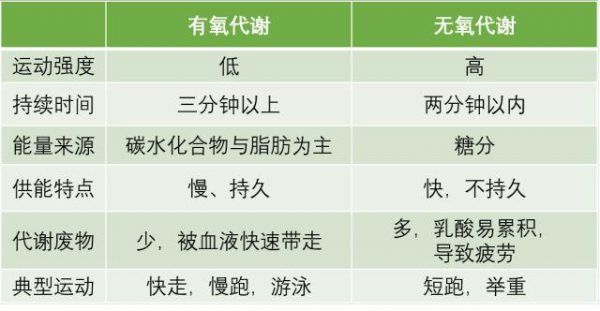 弄懂有氧和无氧，解决你80%的运动问题