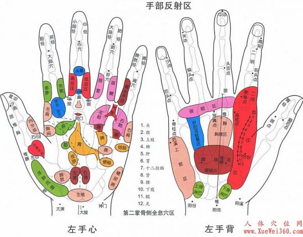 手部反射区穴位图解大全【双手高清图下载】