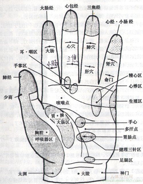 手掌穴位图解大全