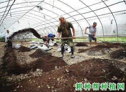 有机肥施用方法