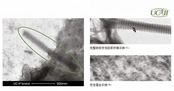 图片来源：龙沙