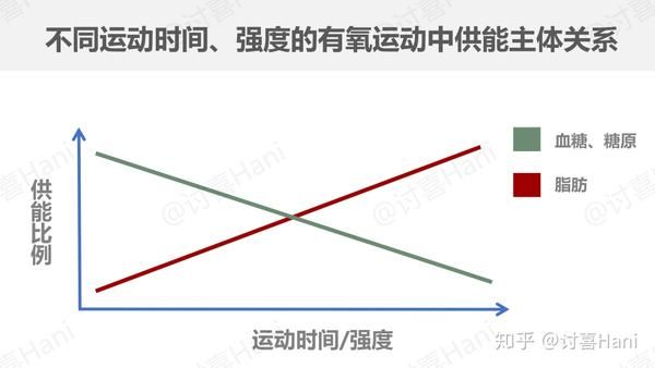 减肥咖啡能左旋肉碱一起喝吗_减肥咖啡能左旋肉碱吃吗_左旋肉碱咖啡真的能减肥吗