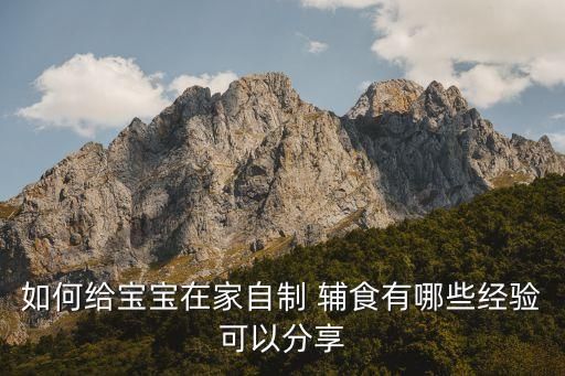 如何给宝宝在家自制 辅食有哪些经验可以分享