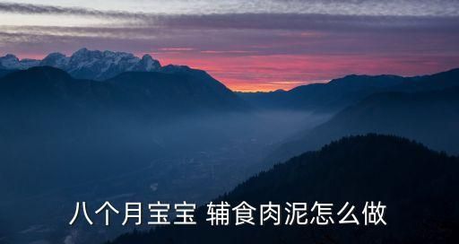 八个月宝宝 辅食肉泥怎么做