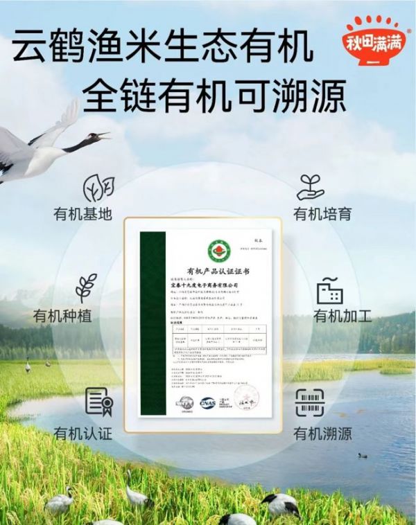 秋田滿滿：以輔食為媒，共筑寶貝成長的溫馨記憶