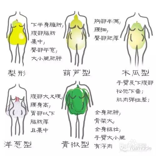 如何塑造好身材