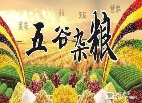 科普：为什么吃主食，最容易发胖？