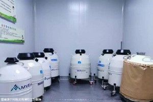 二胎懷孩子的經(jīng)驗(yàn)分享，按照這些方法你也可以如愿！