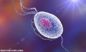 过来人二胎备孕孩子成功经验分享，过来人成功经验一文读懂