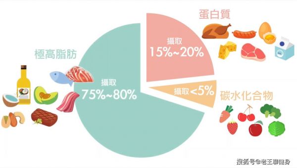 減脂反彈是什么情況_脂肪減下來容易反彈嗎_