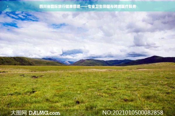 四川省国际旅行健康管理——专业卫生保健与跨境医疗服务