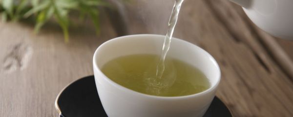喝什么中药能减肥