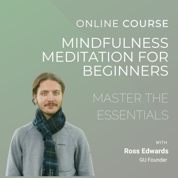 online mindfulness meditation beginners course