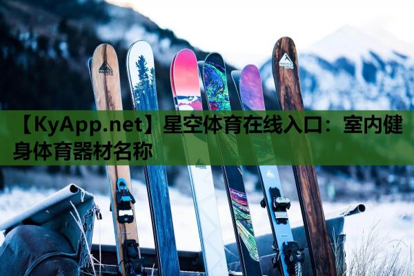 室內(nèi)健身體育器材名稱