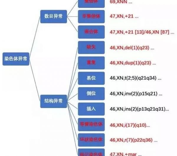 染色體異常結(jié)構(gòu)示意