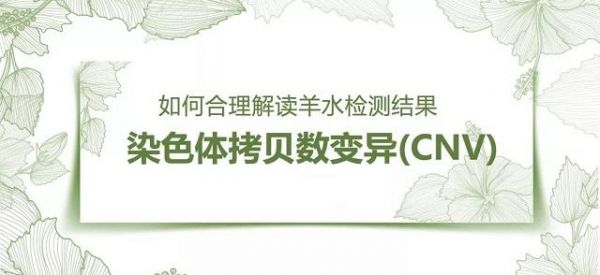染色體檢測(cè)報(bào)告解讀