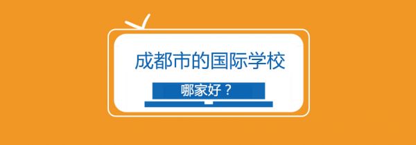 会计相关专业的大四学生想报考注会考试应该如何做准备?