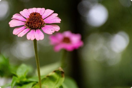 這七種最佳食物，孕期要多吃！