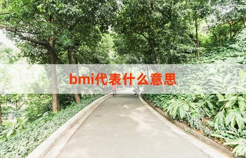 bmi代表什么意思