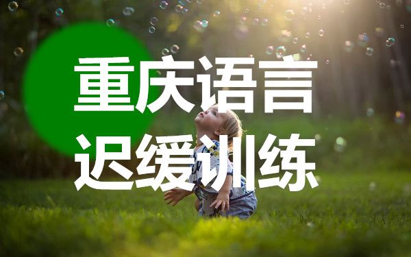 重庆儿童语言发育迟缓训练中心表