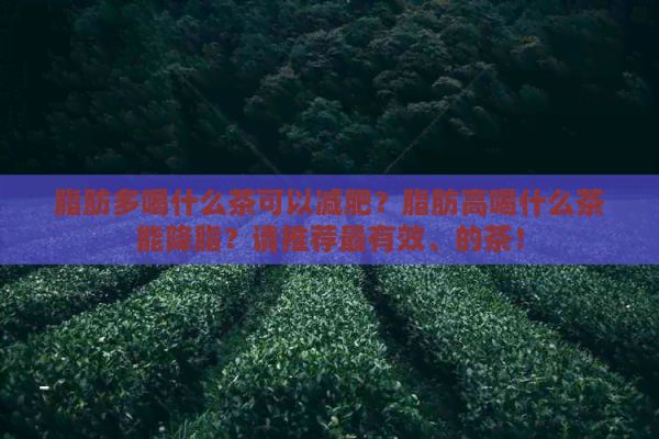 脂肪多喝什么茶可以减肥？脂肪高喝什么茶能降脂？请推荐最有效、的茶！