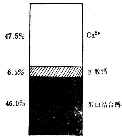 正常人血浆钙的状态