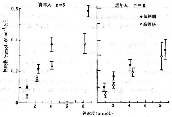 钙摄取量对老年人和青年人钙吸收率的影响