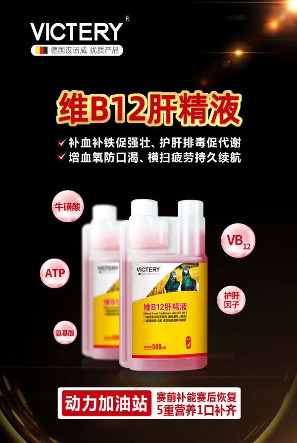 維B12肝精液