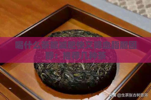 喝什么茶能减肥快又降血脂胆固醇：推荐几种茶