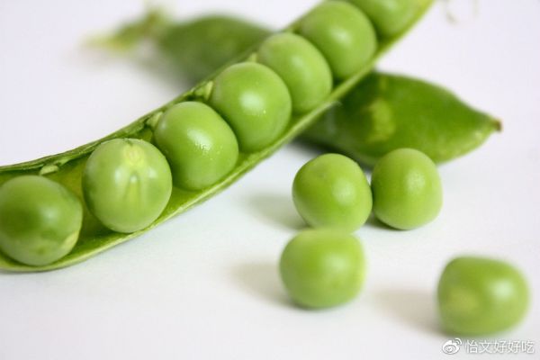 高纤维食物