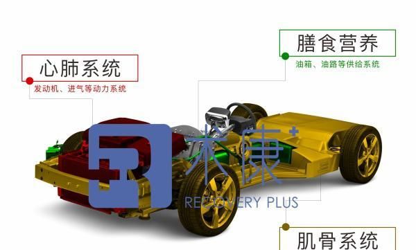 心肺功能與力量訓練之間有什么關系？怎樣提高心肺功能？