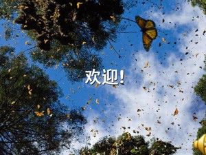 《第4节 生物对环境的适应》PPT课件(江苏省市级优课).ppt