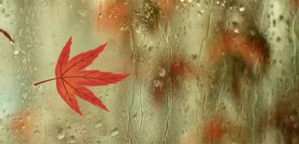 提高環(huán)境適應(yīng)能力的方法有