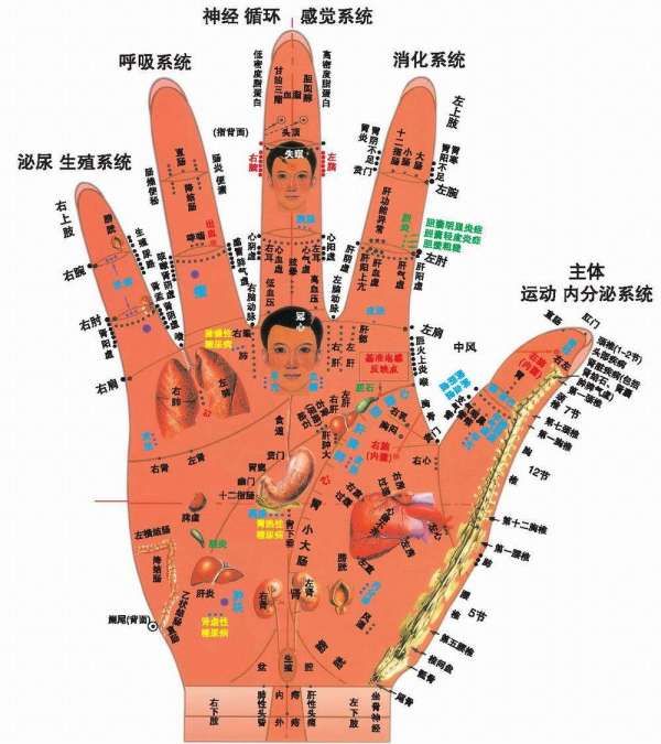 1、运动双手 健康身体 2、小拇指颇为神奇！