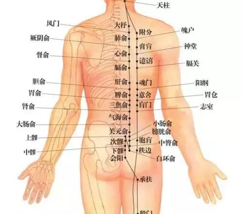 督脉，精气神的源泉！