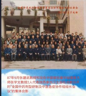 張建武教授善用中藥大方煮散治療慢性疑難雜癥