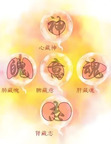 神6.JPG