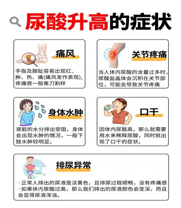 风影无踪植物饮料：创新养生之选，助力健康中国