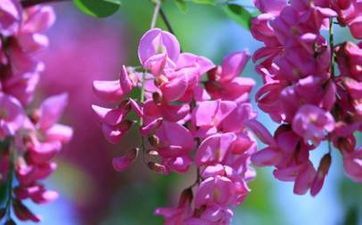家居風(fēng)水怎樣才能讓老人健康？什么樣的風(fēng)水對(duì)老人健康不利？