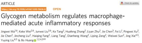 华中科技大学揭示糖原代谢调控炎性巨噬细胞机制