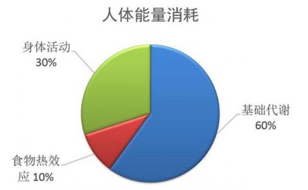 如何通过饮食调节改善身体代谢功能