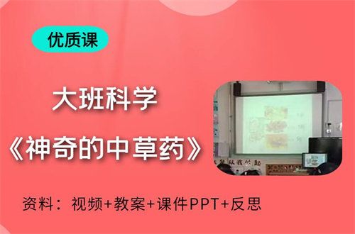 幼儿园课件神奇的中草药下载