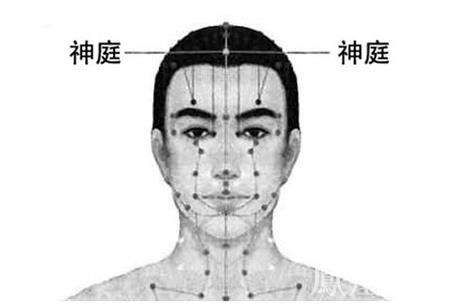 神庭穴 人体穴位图