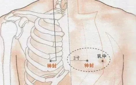 神封穴 人体穴位图