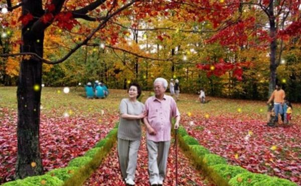 老年人應該如何養(yǎng)生？老年人的養(yǎng)生秘訣有哪些？(1)