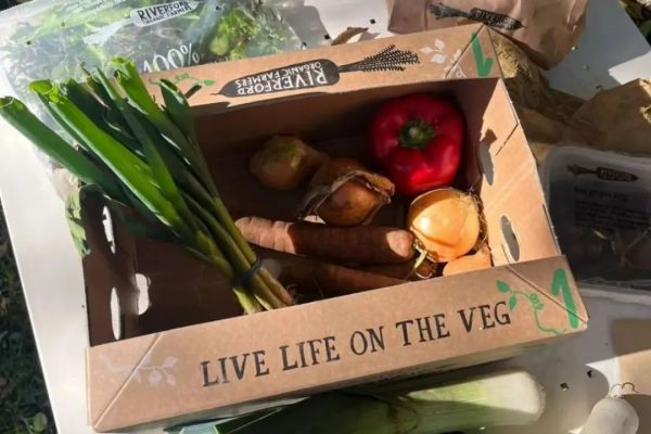 农业面临的问题_农业面对的问题_有机农业的面临的问题